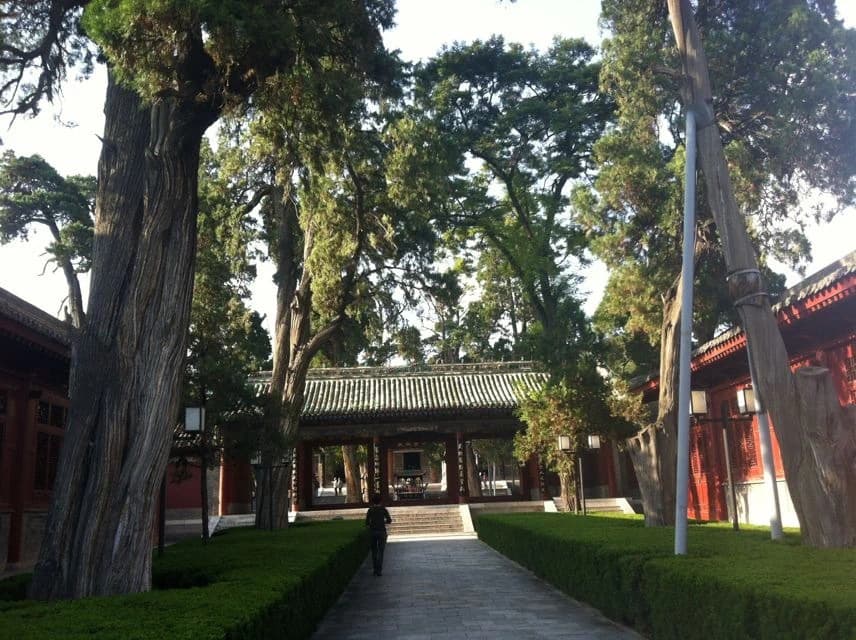 Patios arbolados y salas tradicionales del templo de Fuxi
