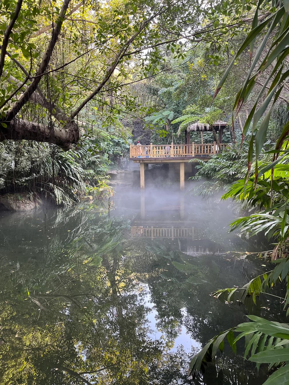 Jardín Botánico de Xiamen: ruta de la selva tropical a las suculentas