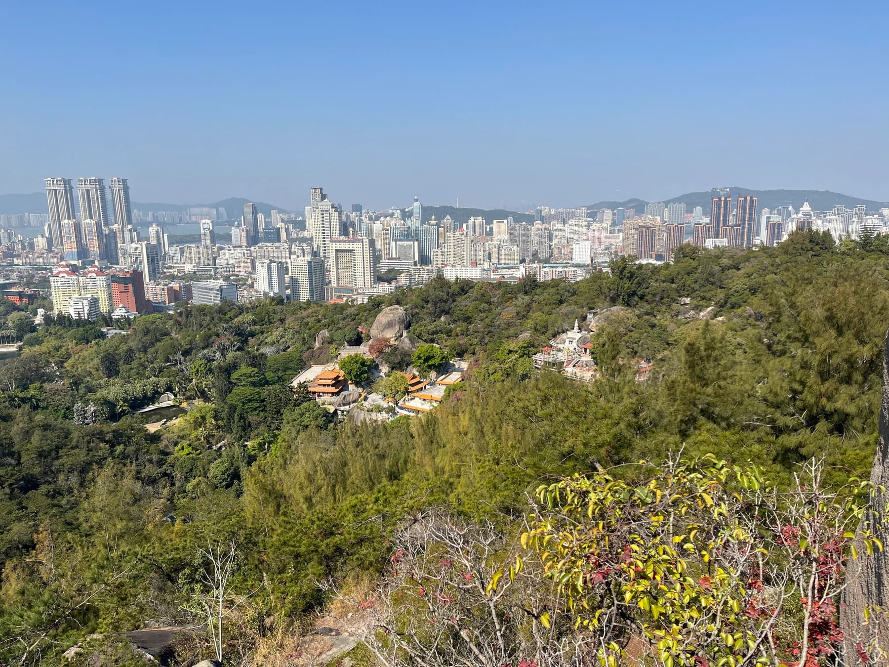 Paisaje de ladera en el Jardín Botánico de Xiamen