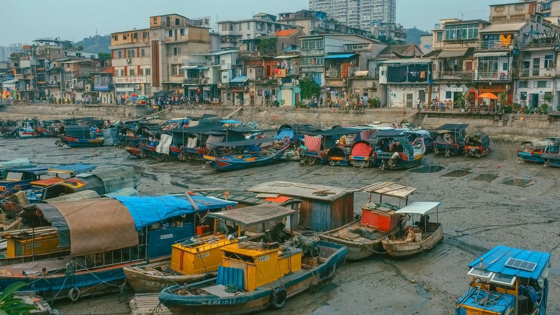 Shapowei y el puente Yanwu: paseo del puerto al mar