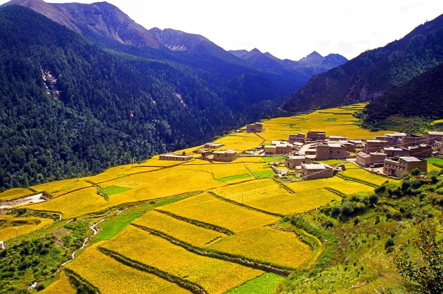 Choose the Yading Base and Protect Arrival