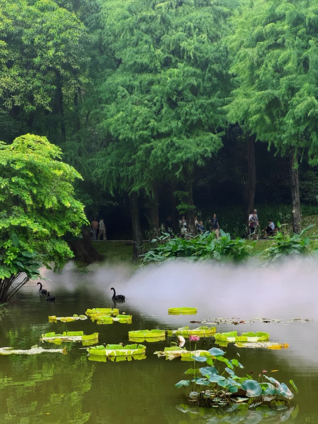 Vista del lago y fauna en Yuexiu Park