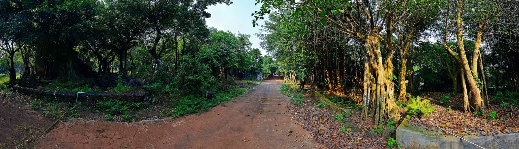 Sendero arbolado por el paisaje del pueblo volcánico de Shishan