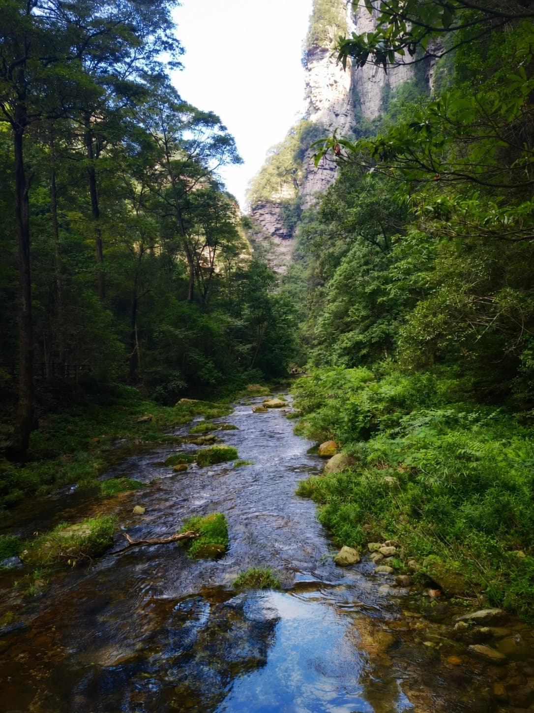 Sendero panorámico a lo largo del Golden Whip Stream rodeado de imponentes picos