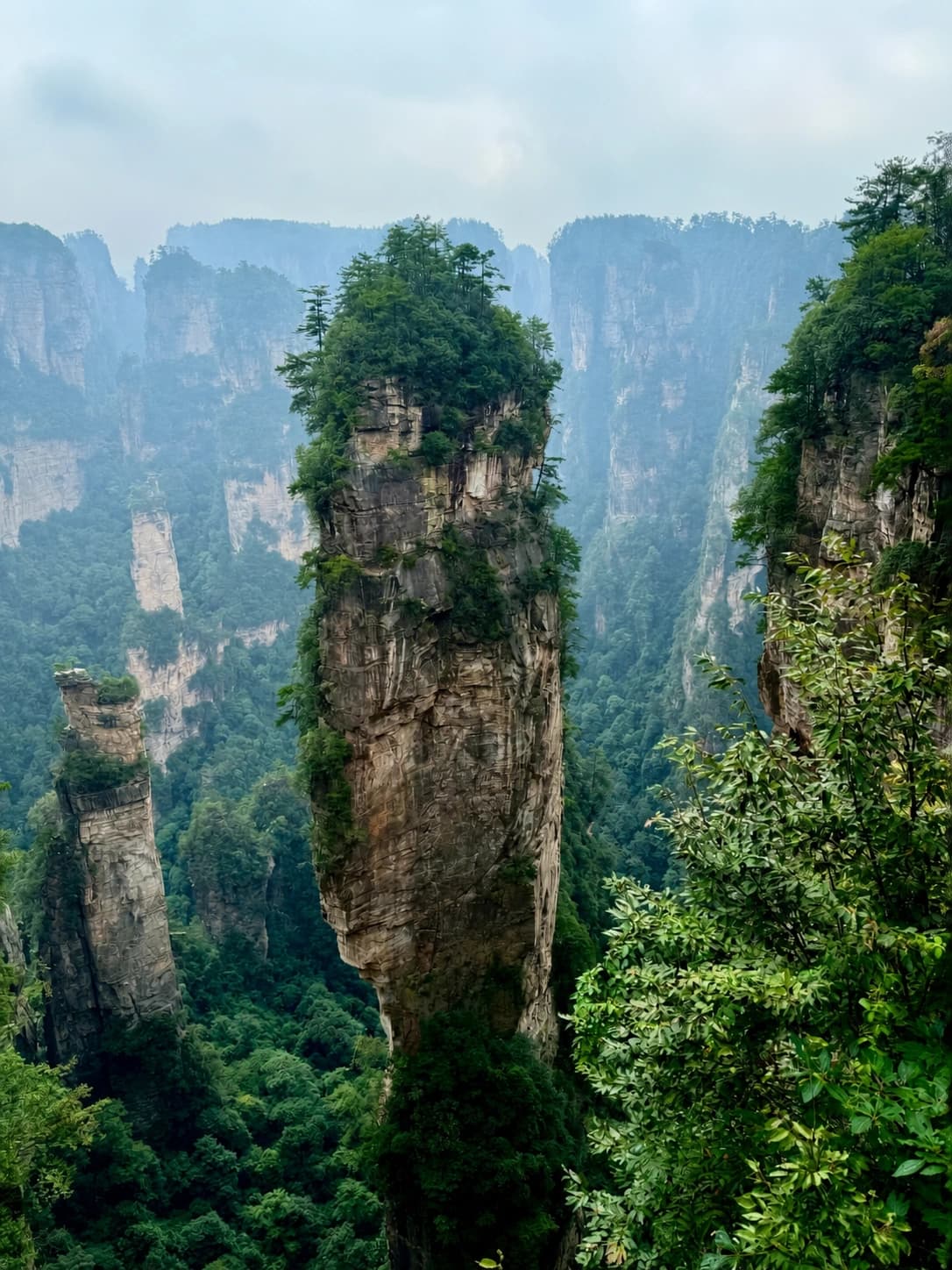 Picos imponentes de Yuanjiajie