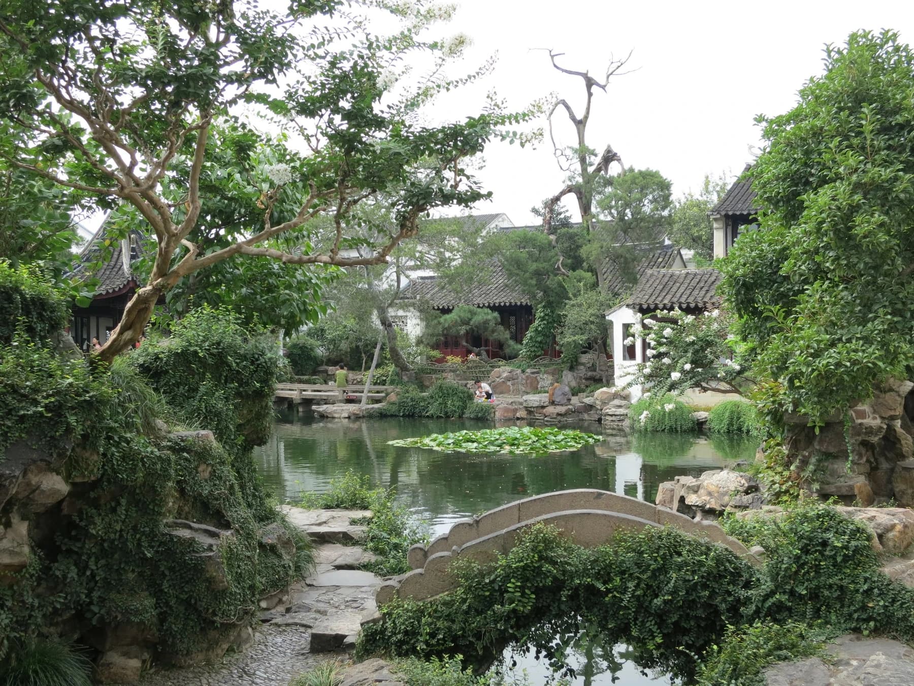 Estanque principal, puente y densa plantación en el Jardín del Maestro de las Redes