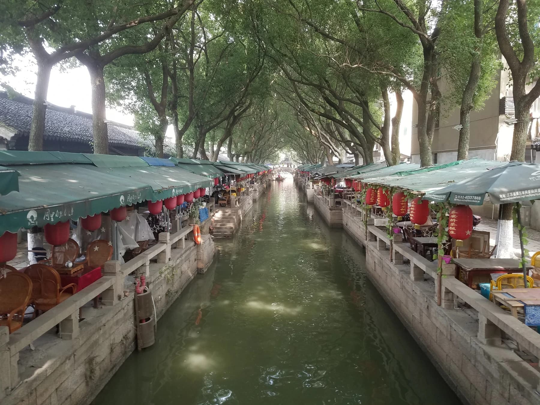 Largo canal bordeado de árboles, terrazas y faroles en Tongli