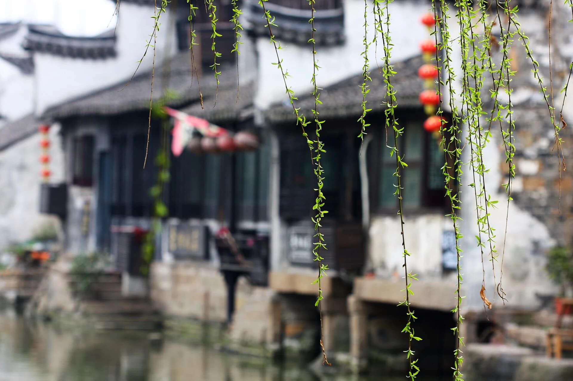 Arquitectura junto al agua y sauce en un canal de Xitang