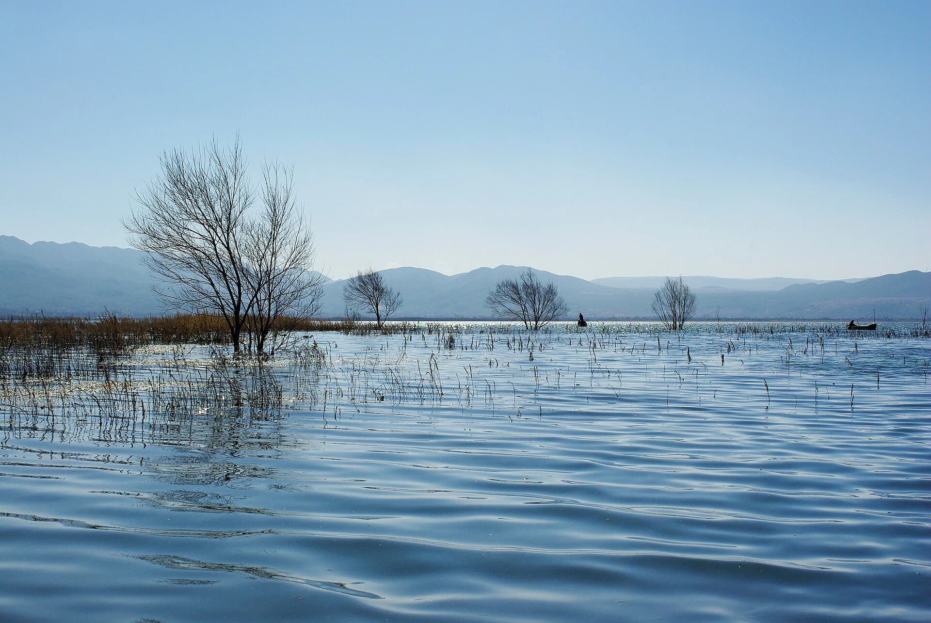 Lashihai Wetland
