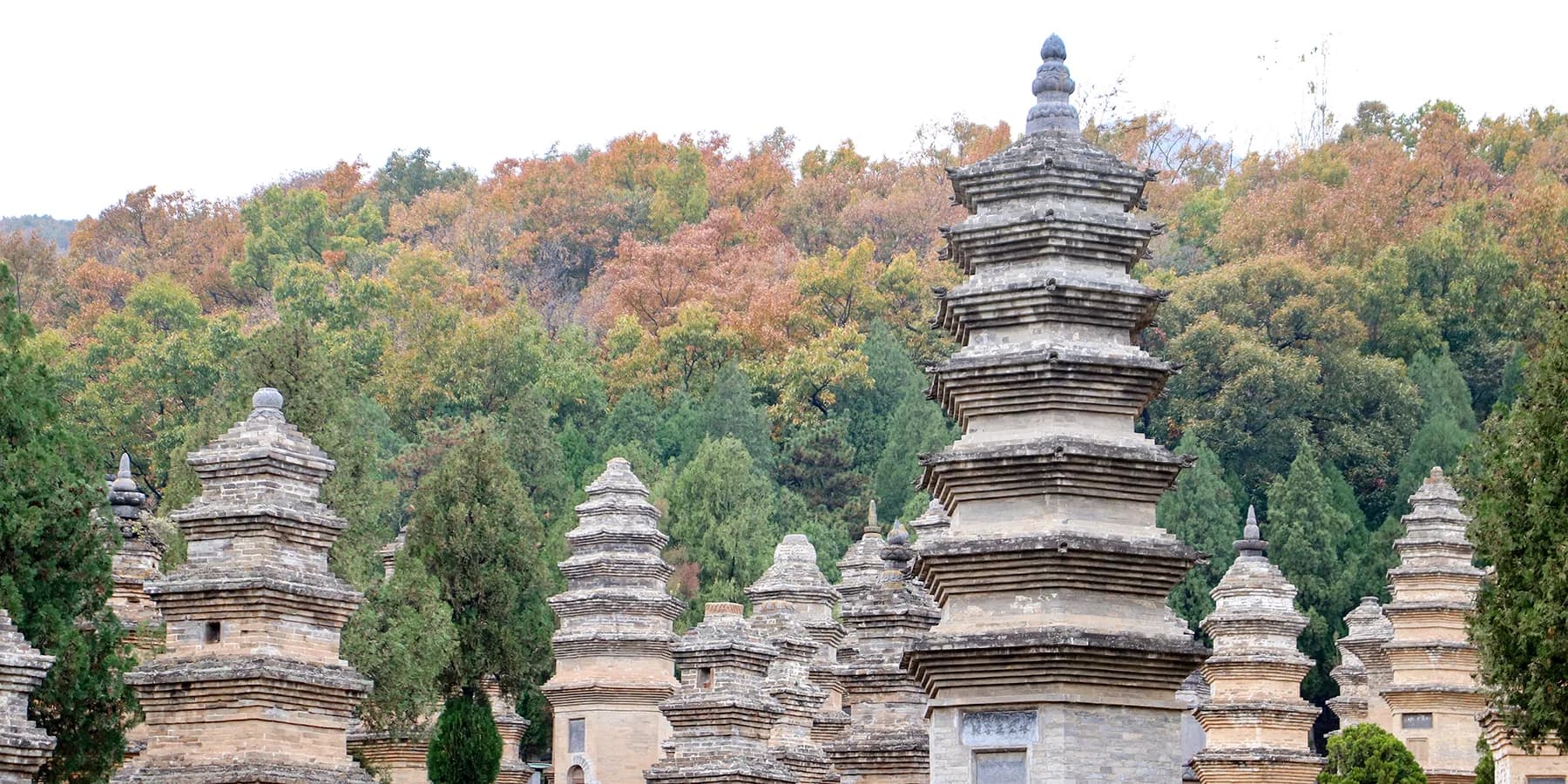 Licensed crowd-excluded view of the Shaolin Temple Pagoda Forest