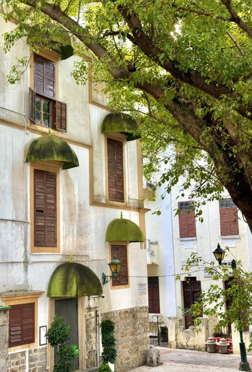 Vista de la calle de la Plaza de Barra con árboles y edificios históricos