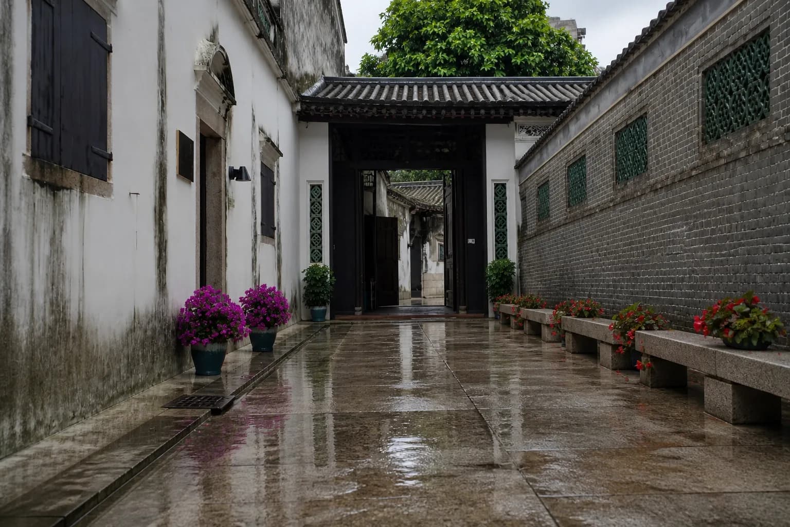 Vista de un patio húmedo por la lluvia con muros de cal, ladrillo gris y celosías verdes