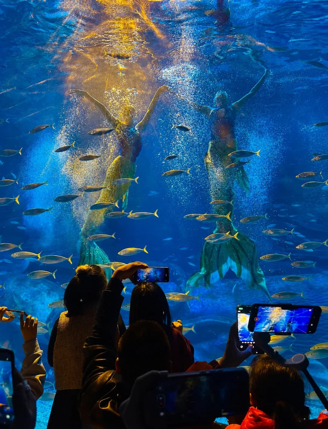 Polar Ocean World | Atracciones | Viajar por China