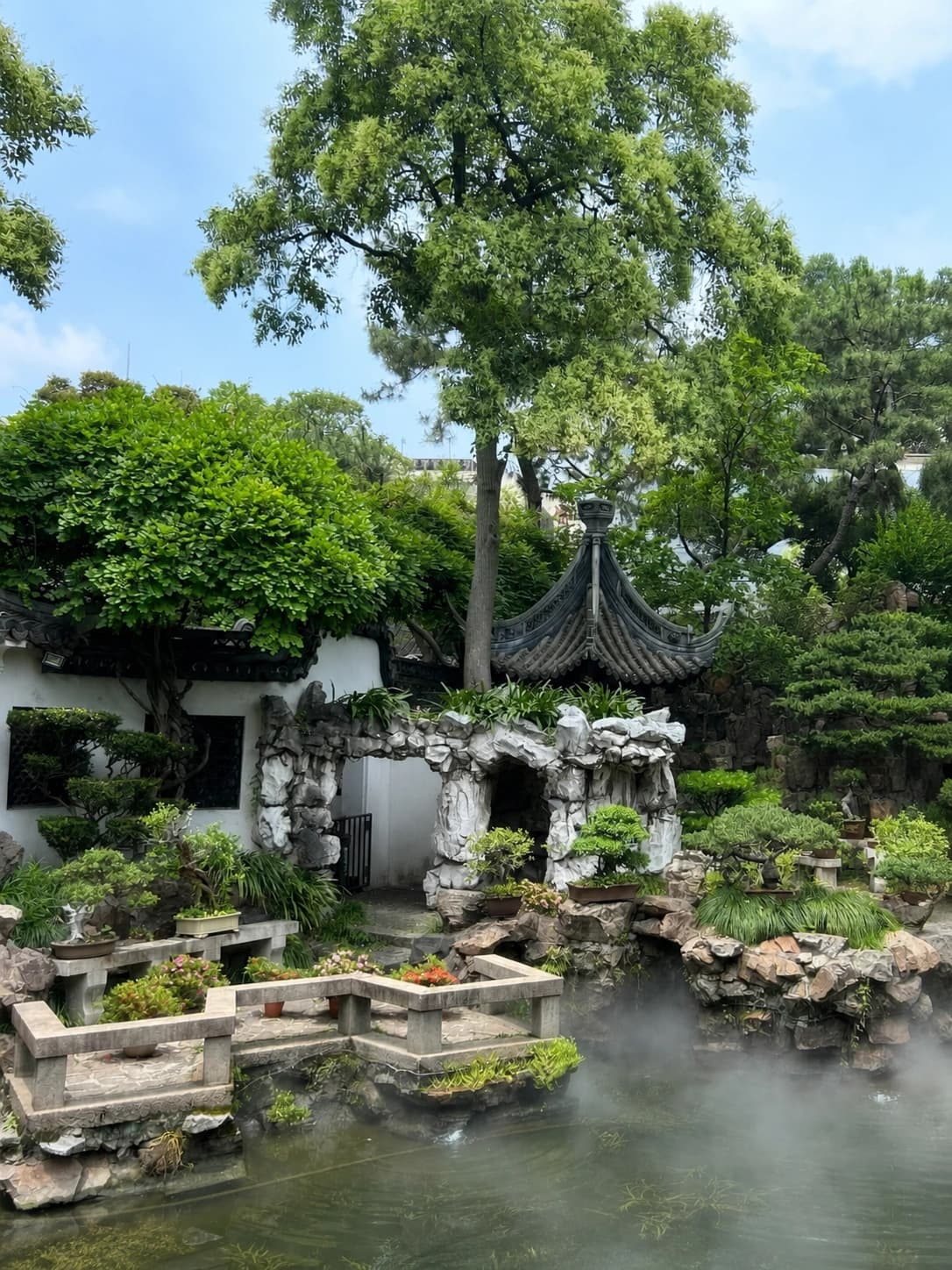 Lugares escénicos del Jardín Yu y rutas para caminar