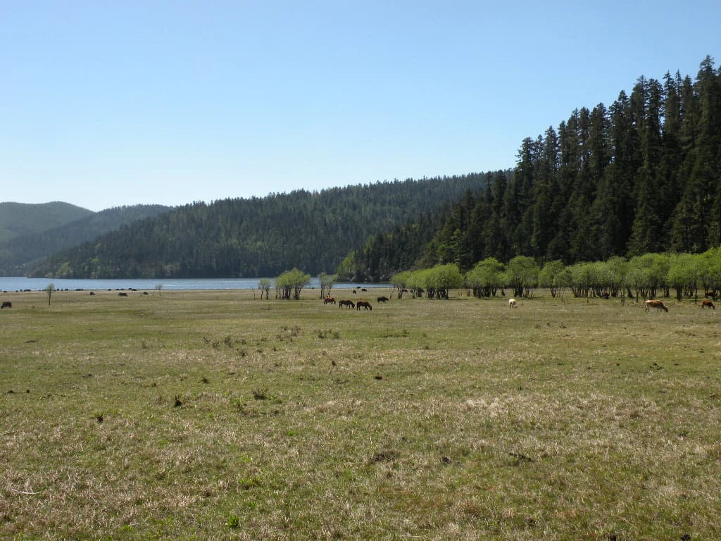Highland meadow and water inside Pudacuo National Park