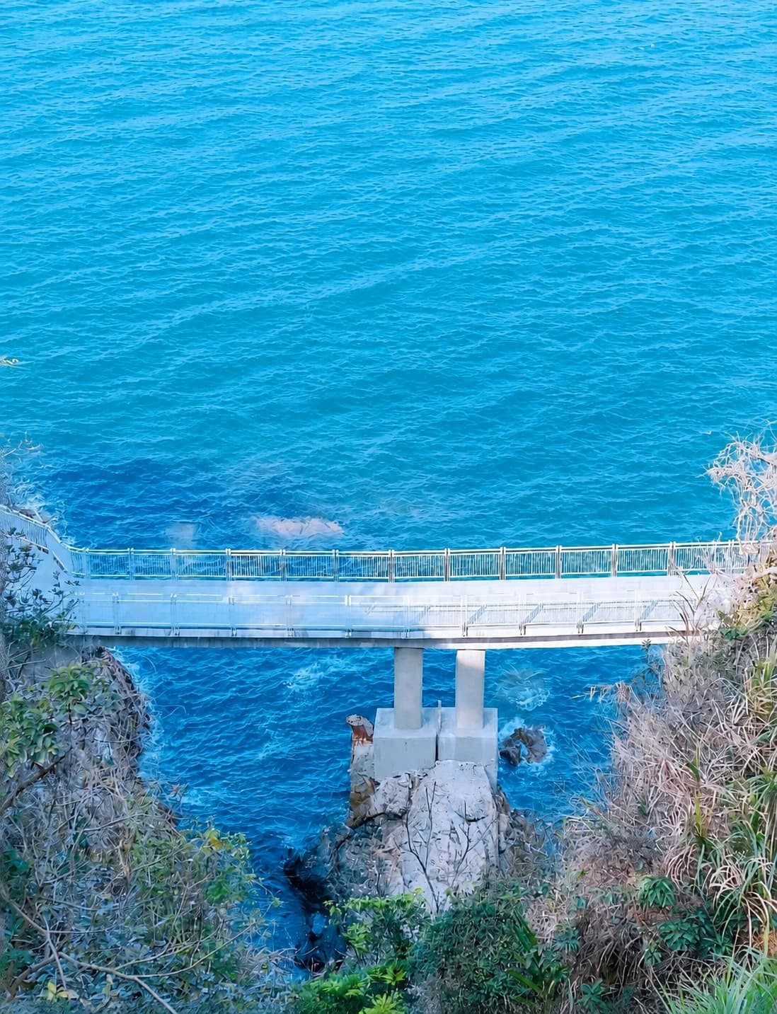 Puente en el paseo marítimo de Dameisha Seaside Park