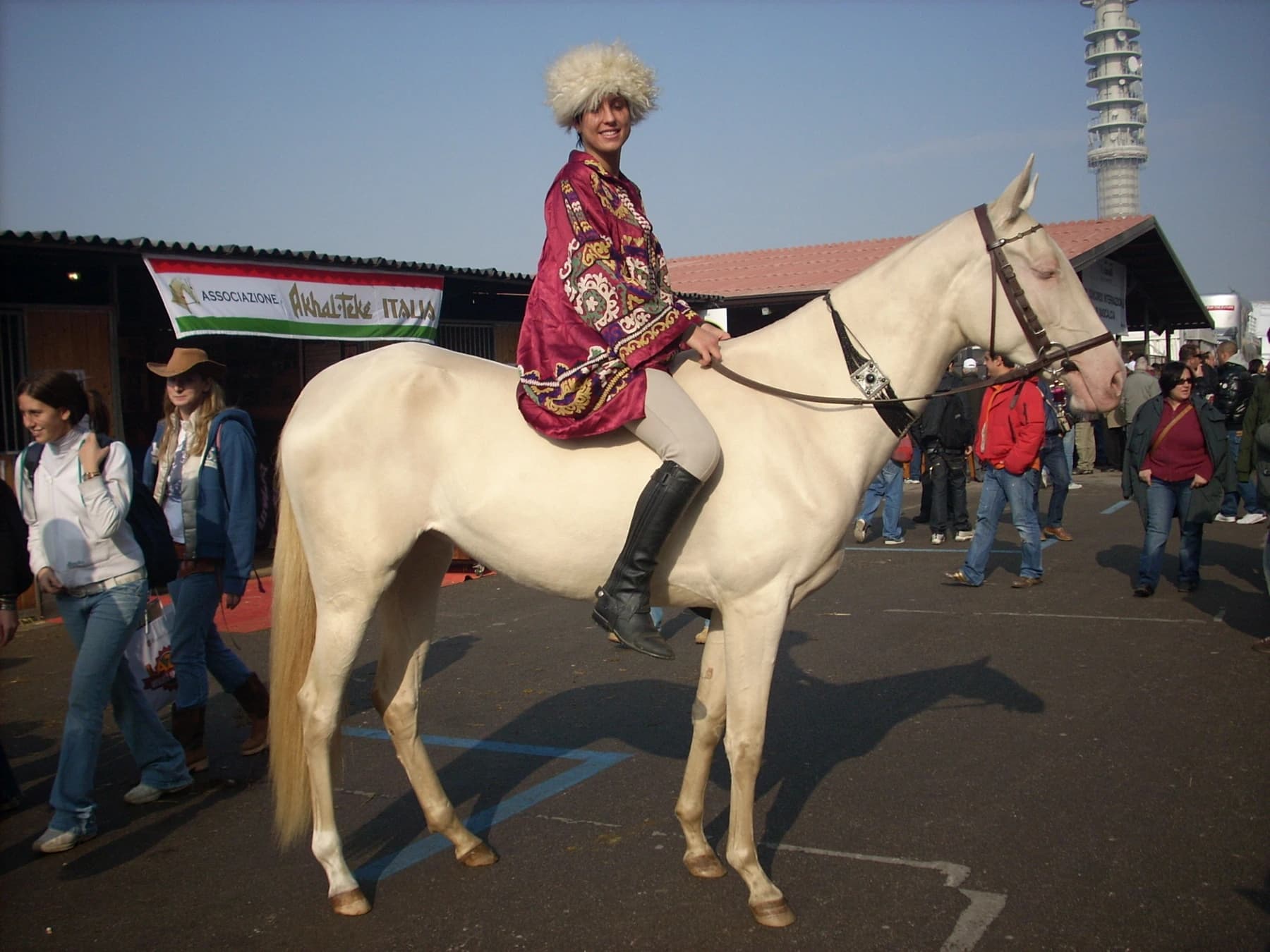 Se muestra el perfil representativo del caballo Akhal-Teke para el contexto de la raza, no como una vista del parque Urumqi