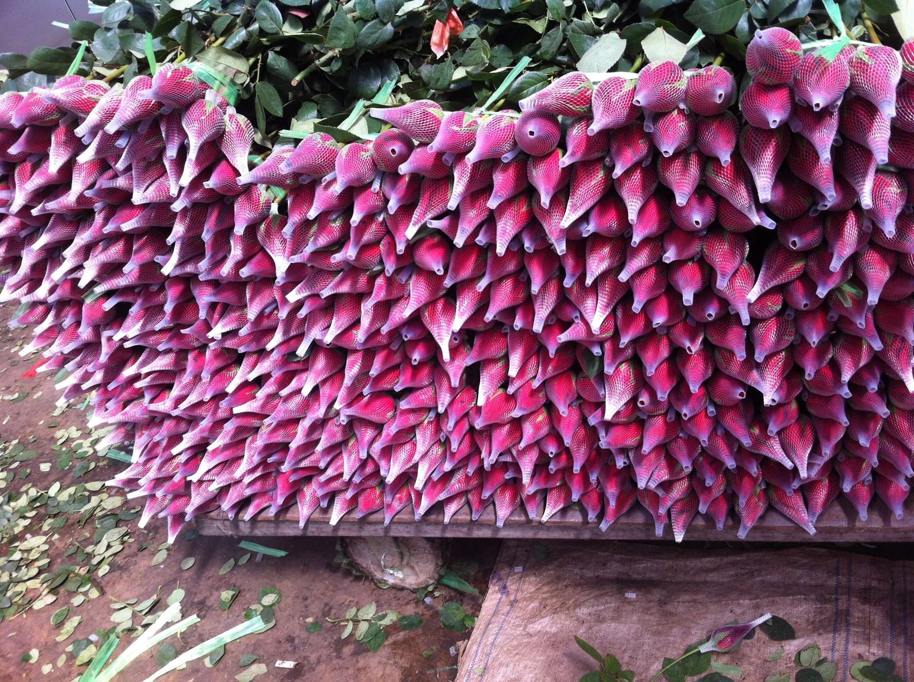 Filas de ramos de flores rosas envueltos y preparados para la venta en Dounan