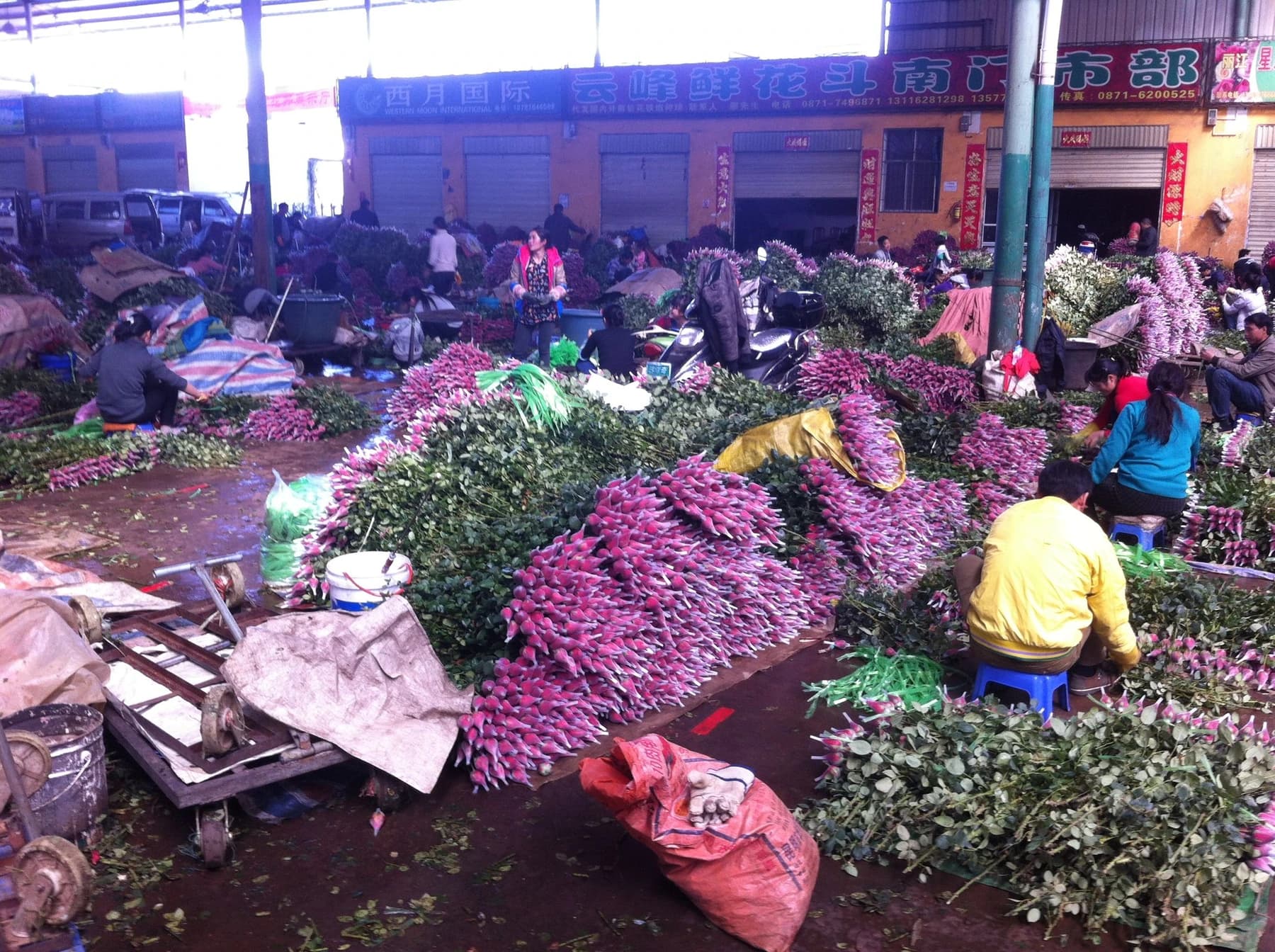 Ramos y vendedores dentro del Mercado de Flores de Dounan en Kunming