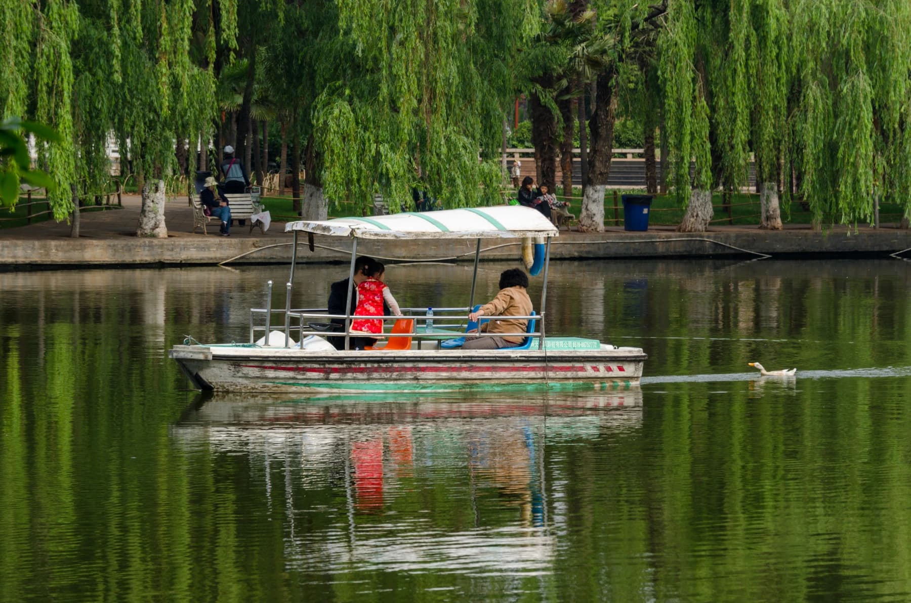 Green Lake y Universidad de Yunnan: paseo urbano por Kunming