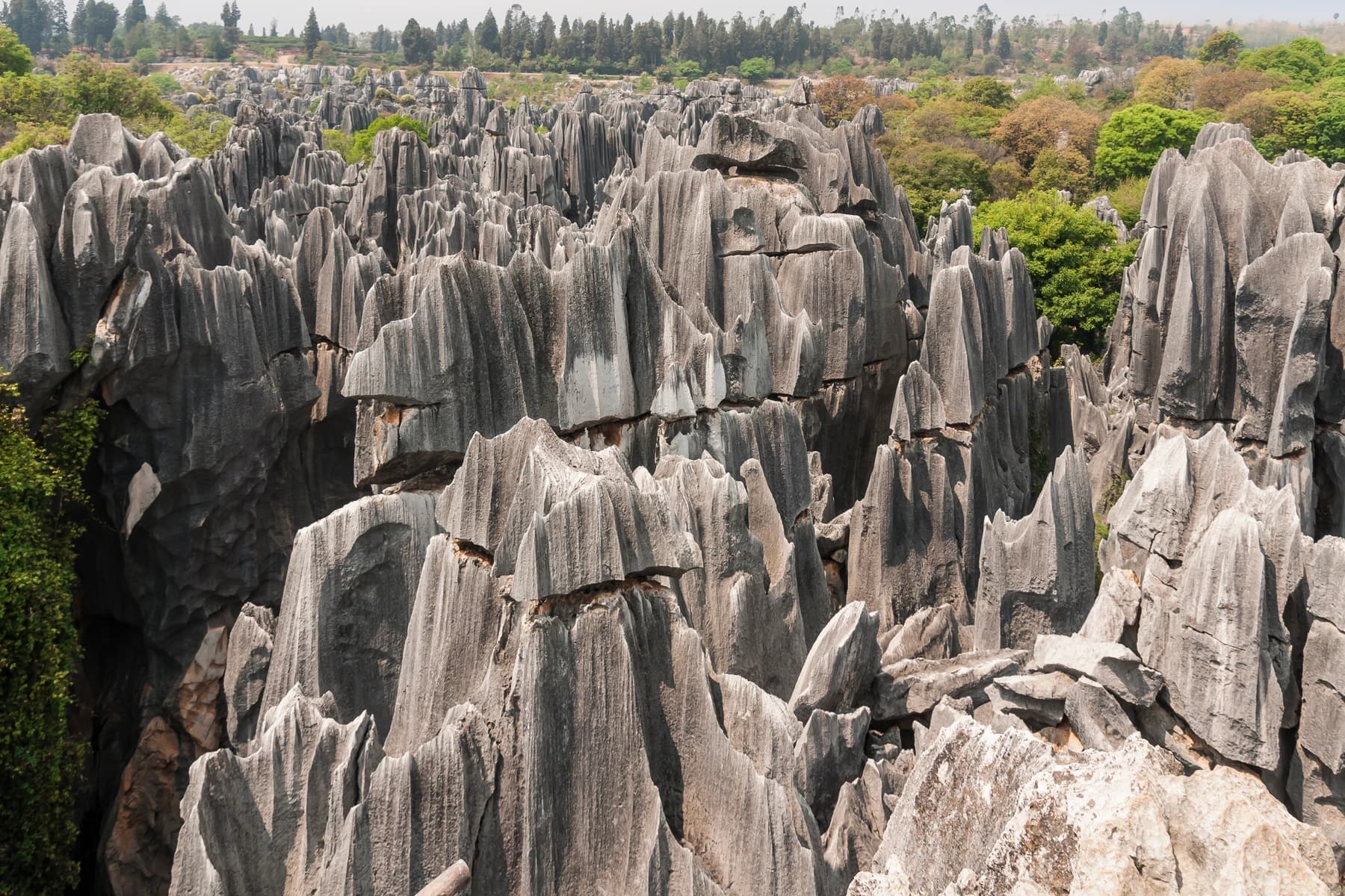 Stone Forest de Kunming: ruta, transporte y estrategia para evitar multitudes