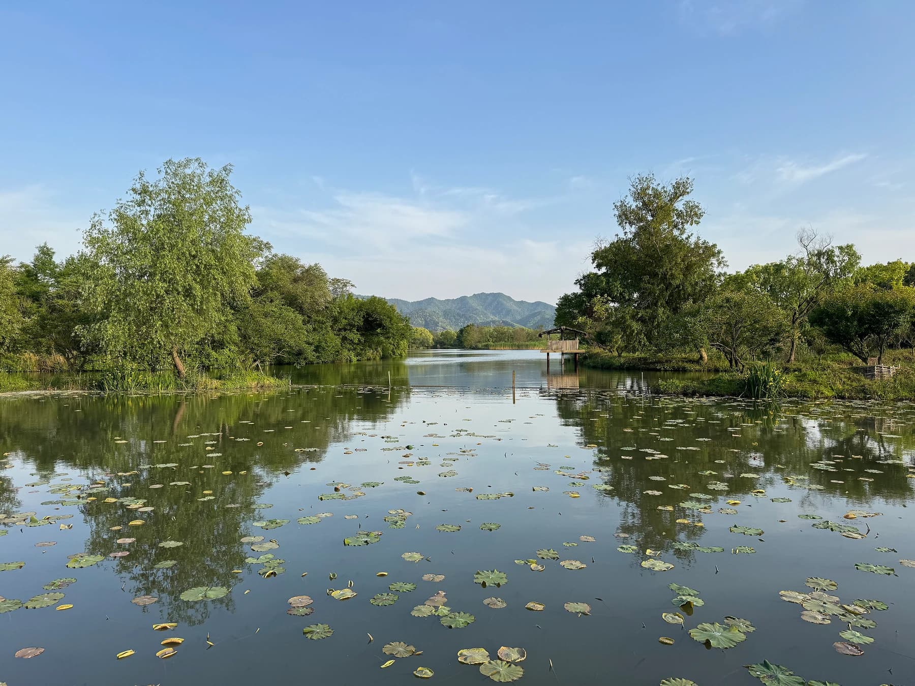 Guía de Xixi Wetland: elige la entrada, el barco y la ruta adecuados
