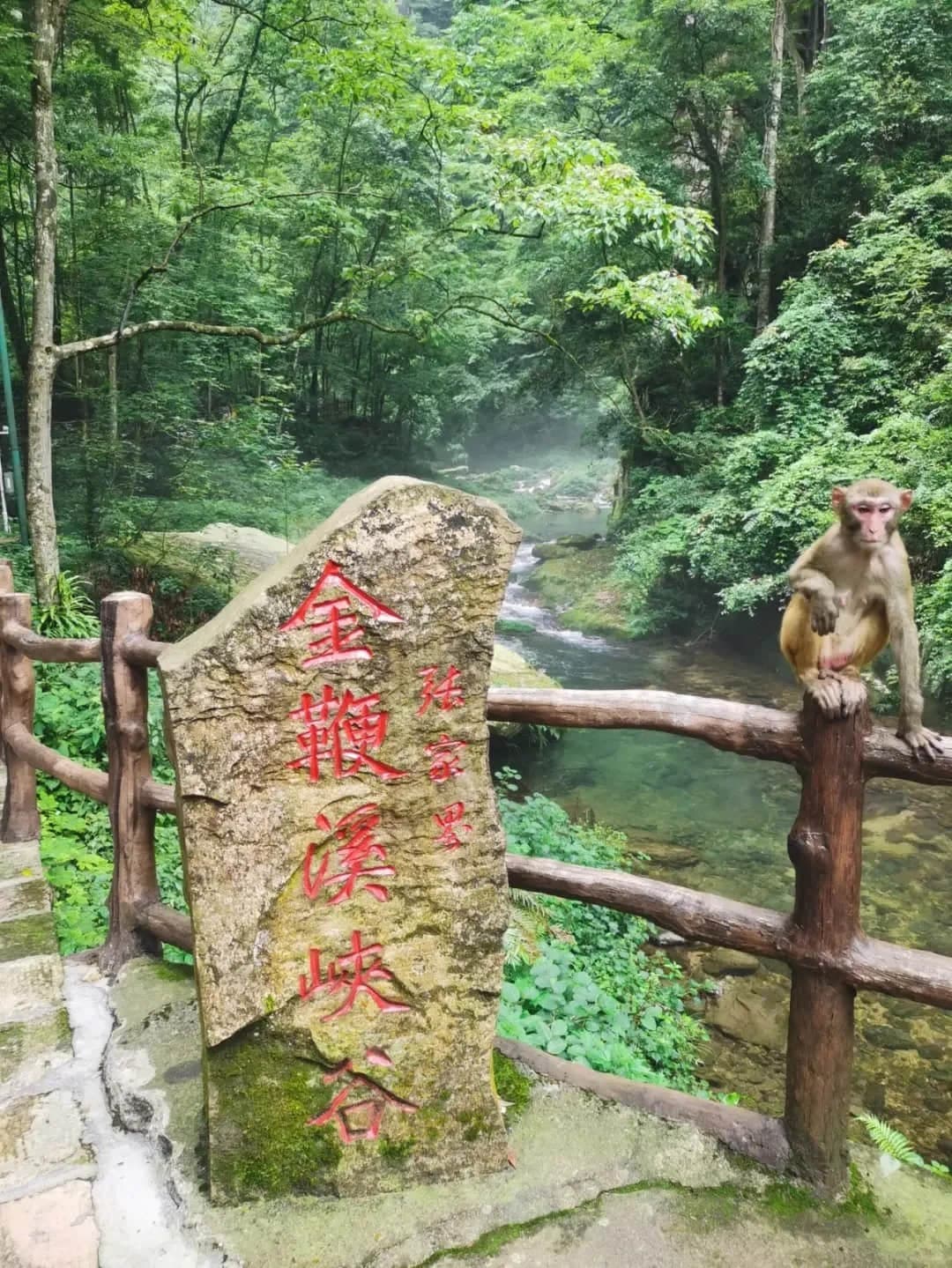 Corriente del látigo dorado | Atracciones | Viajar a China