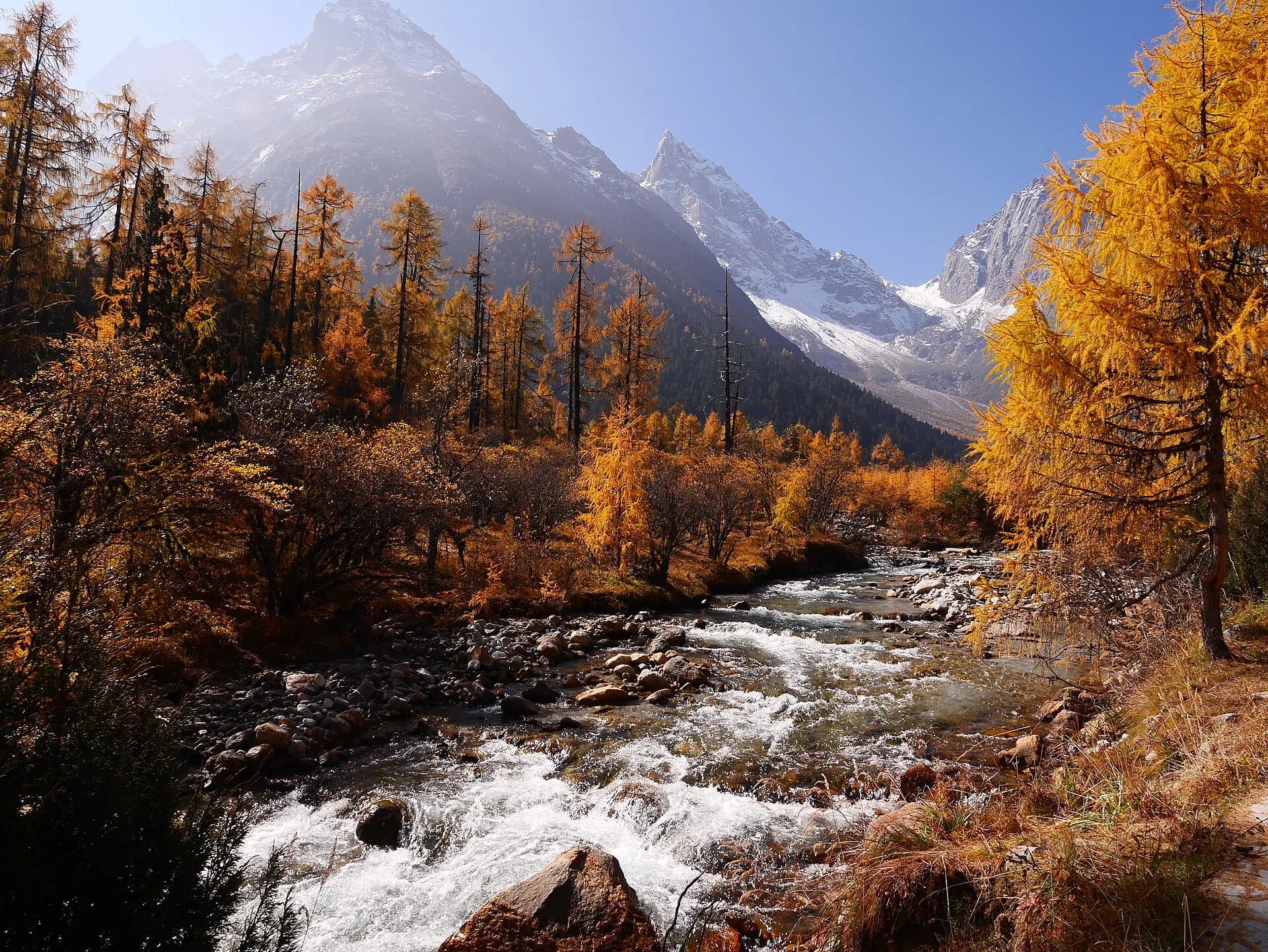 Clear stream flowing through autumn forest beneath mountain slopes in Bipenggou