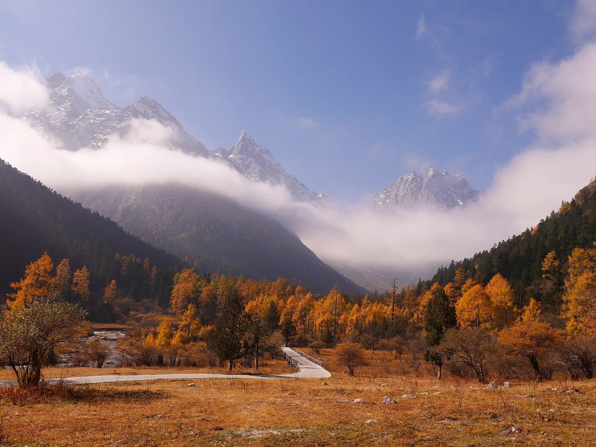 Clouds moving through the forested mountain walls of Bipenggou