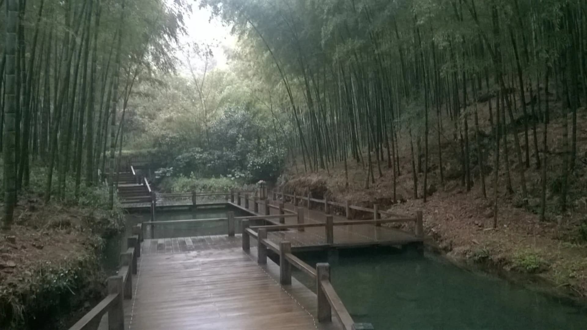 Tianmu Lake and Nanshan Bamboo Sea Planner