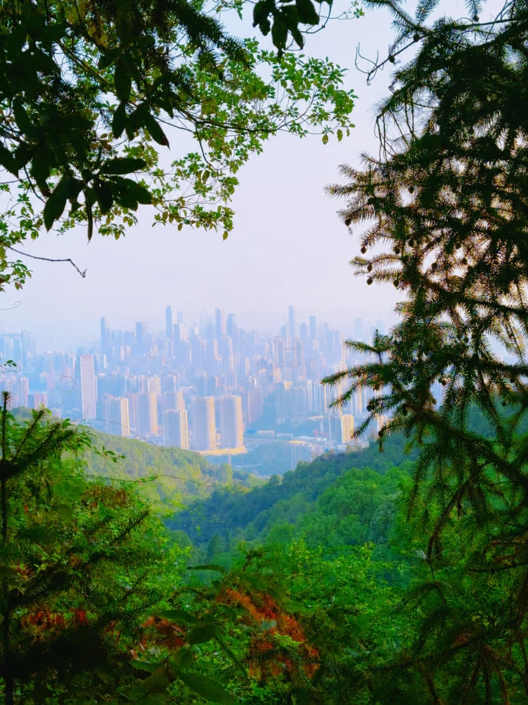 Parque Mirador Nocturno Yihua | Atracciones | Viajar a China