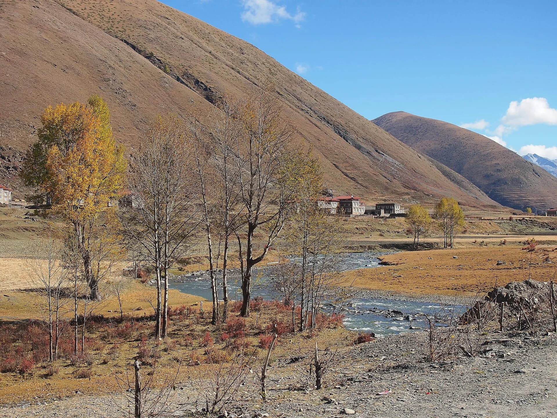 Autumn trees and mountain light along the Xinduqiao road corridor
