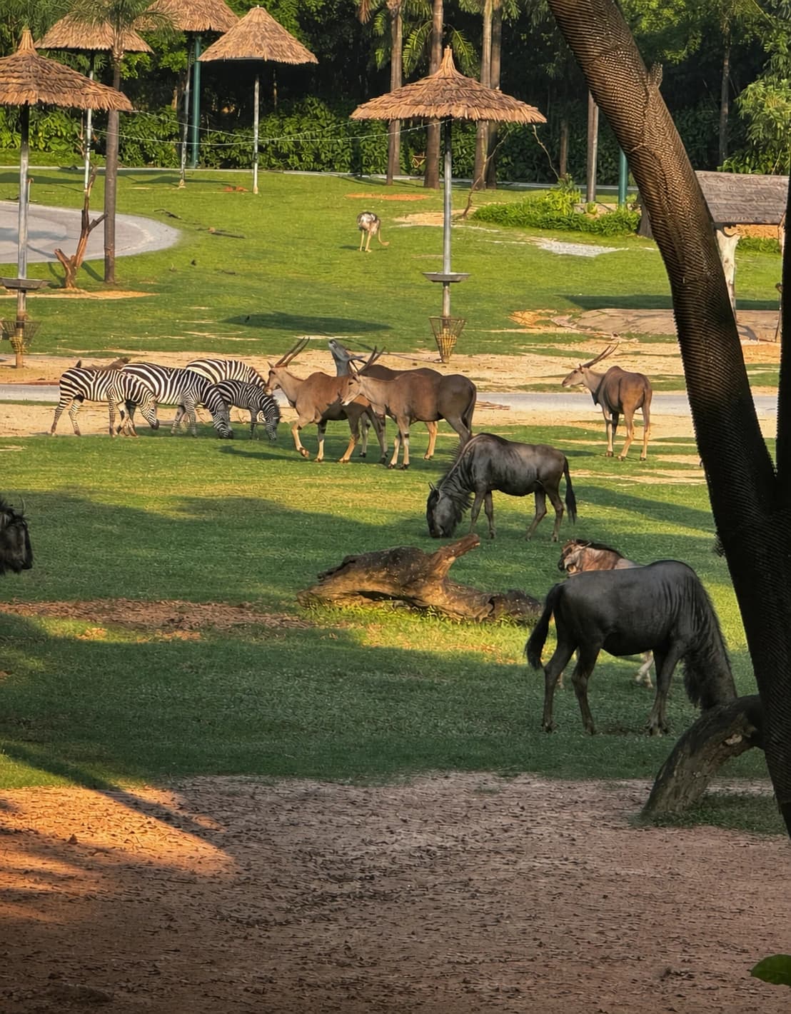 Changlong Wildlife World