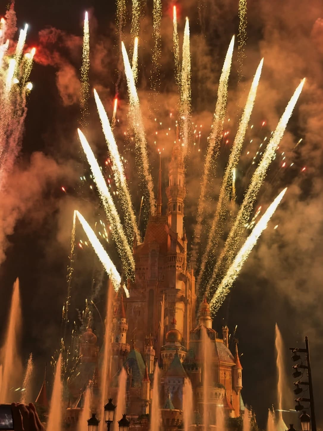 Fuegos artificiales del castillo de Disney por la noche
