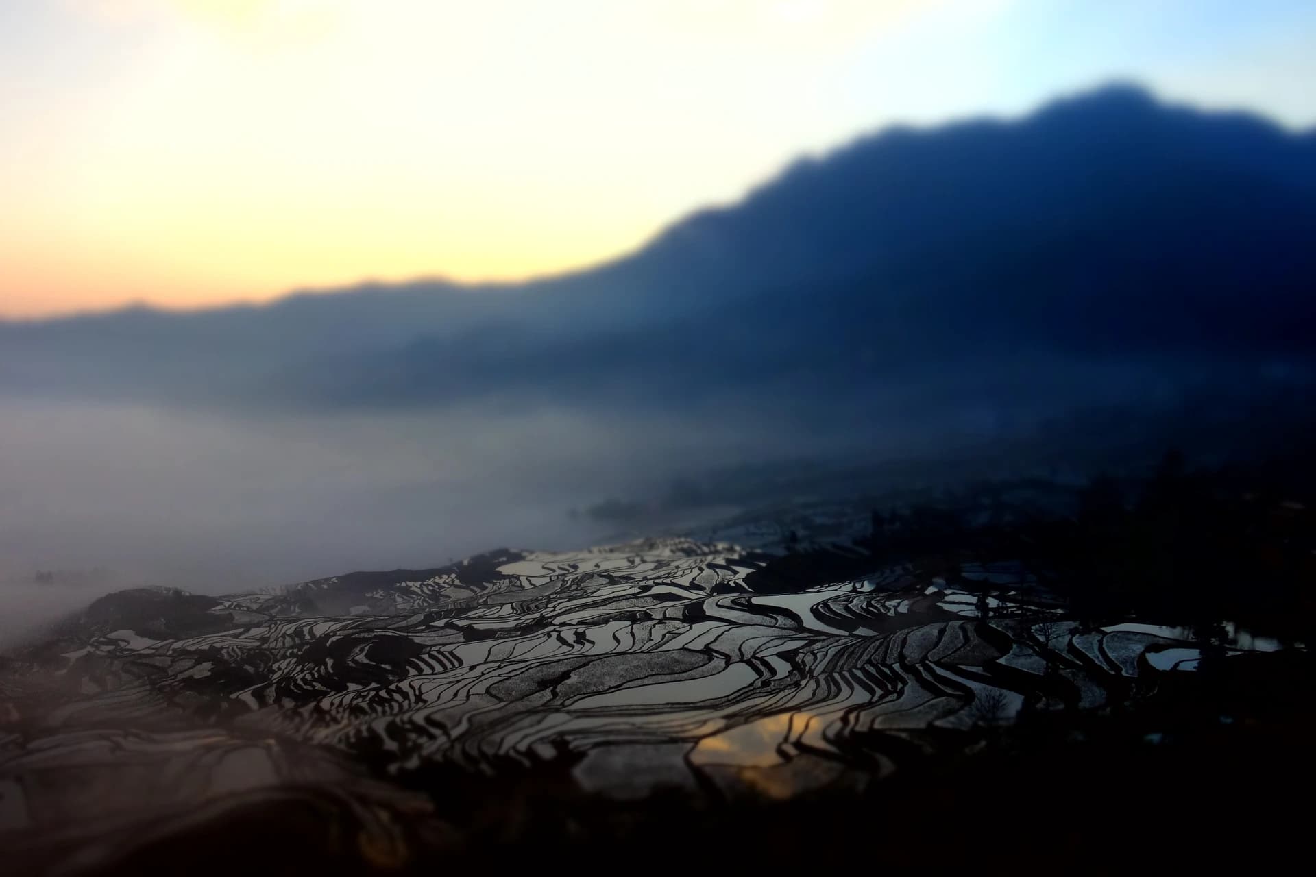 Yuanyang Hani Rice Terraces