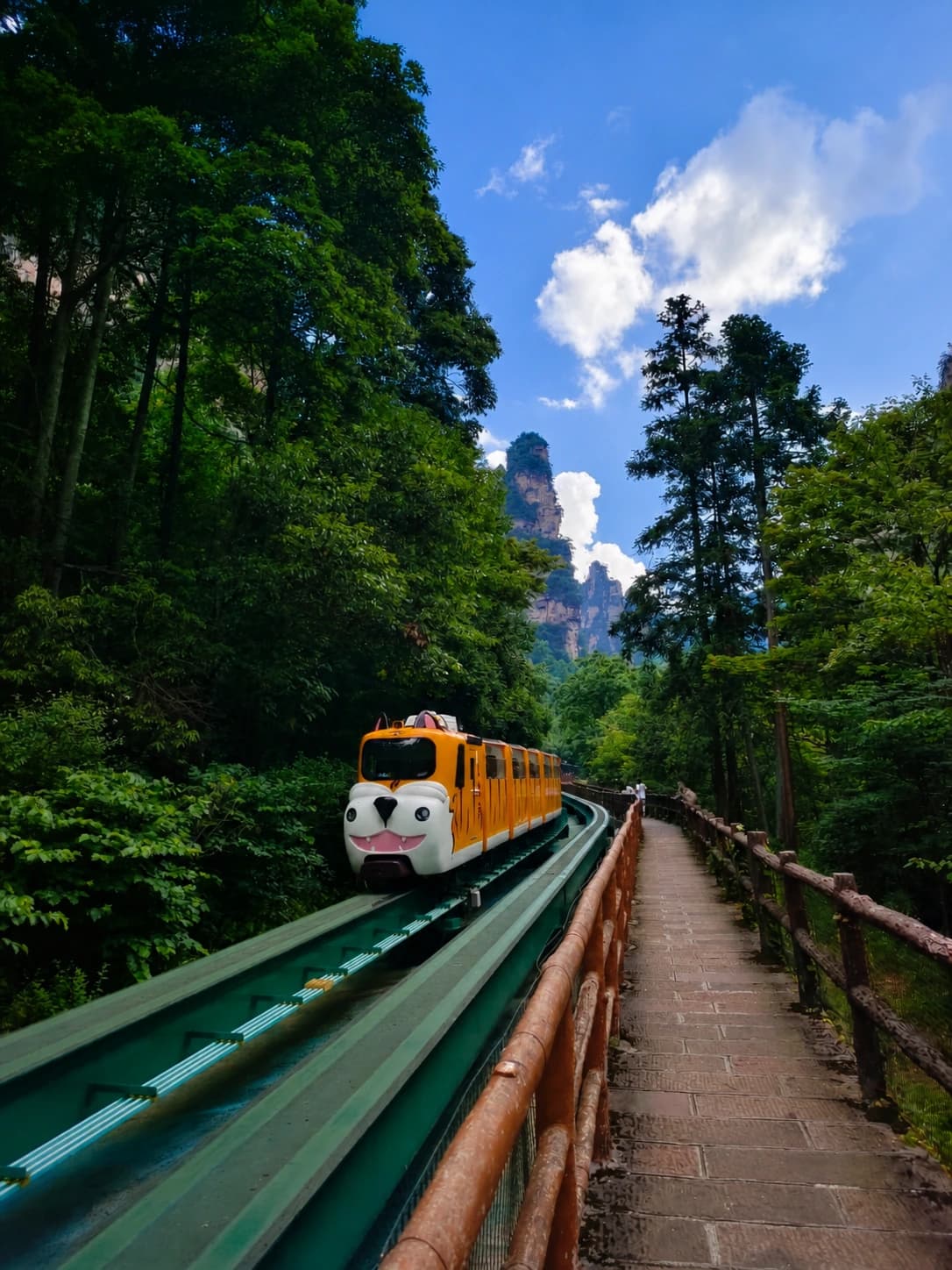El tren turístico serpenteando por el espectacular paisaje de Ten-Mile Gallery