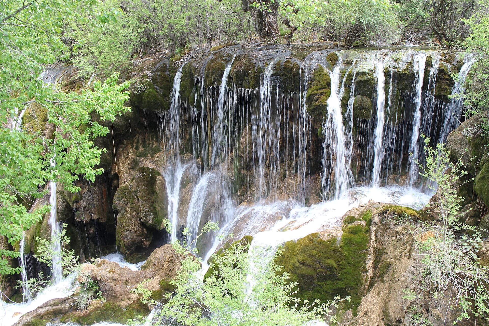 Agua sobre travertino cubierto de musgo en la cascada Shuzheng de Jiuzhaigou