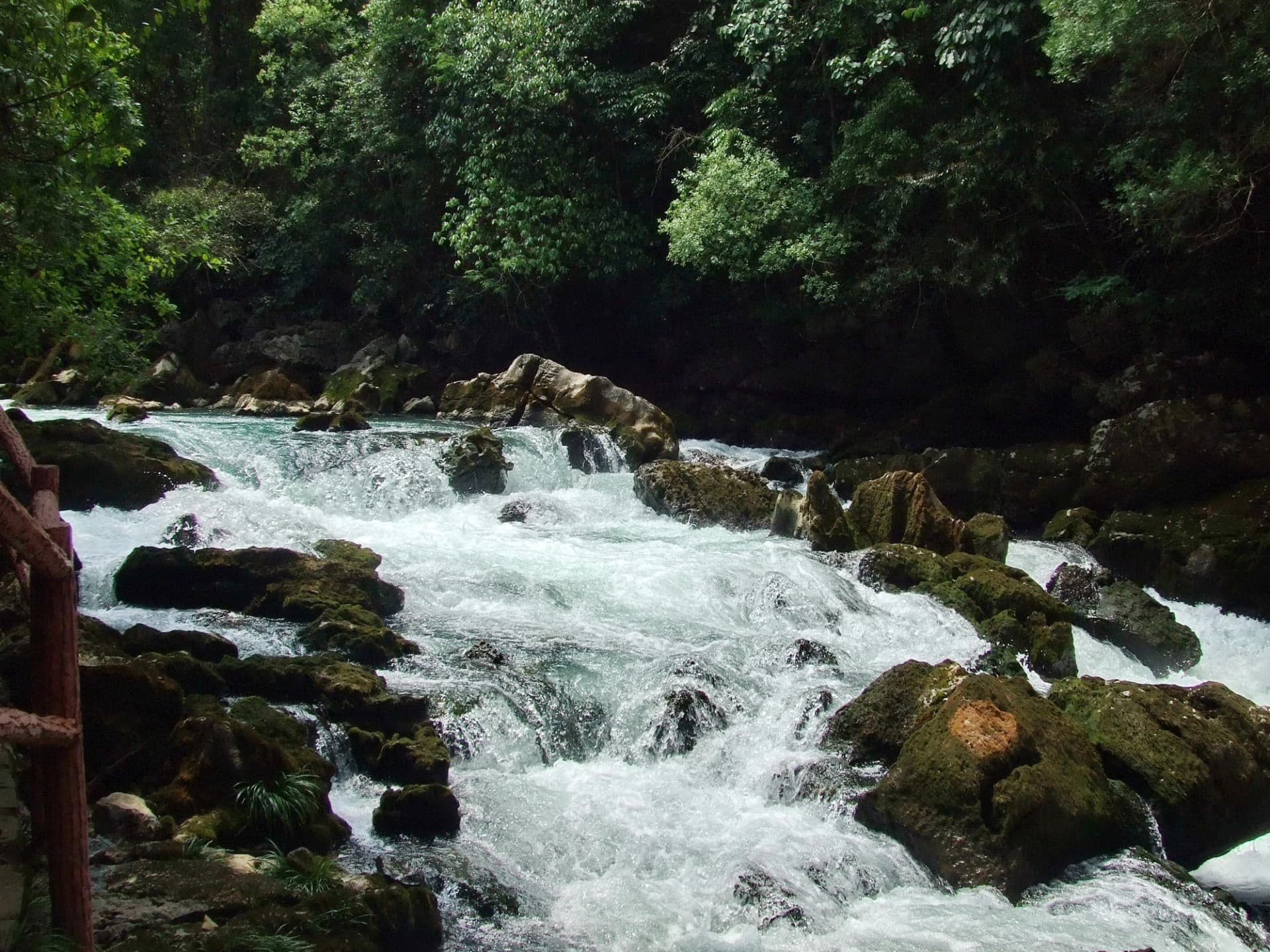 Agua rápida corre entre rocas bajo el bosque de Maolan