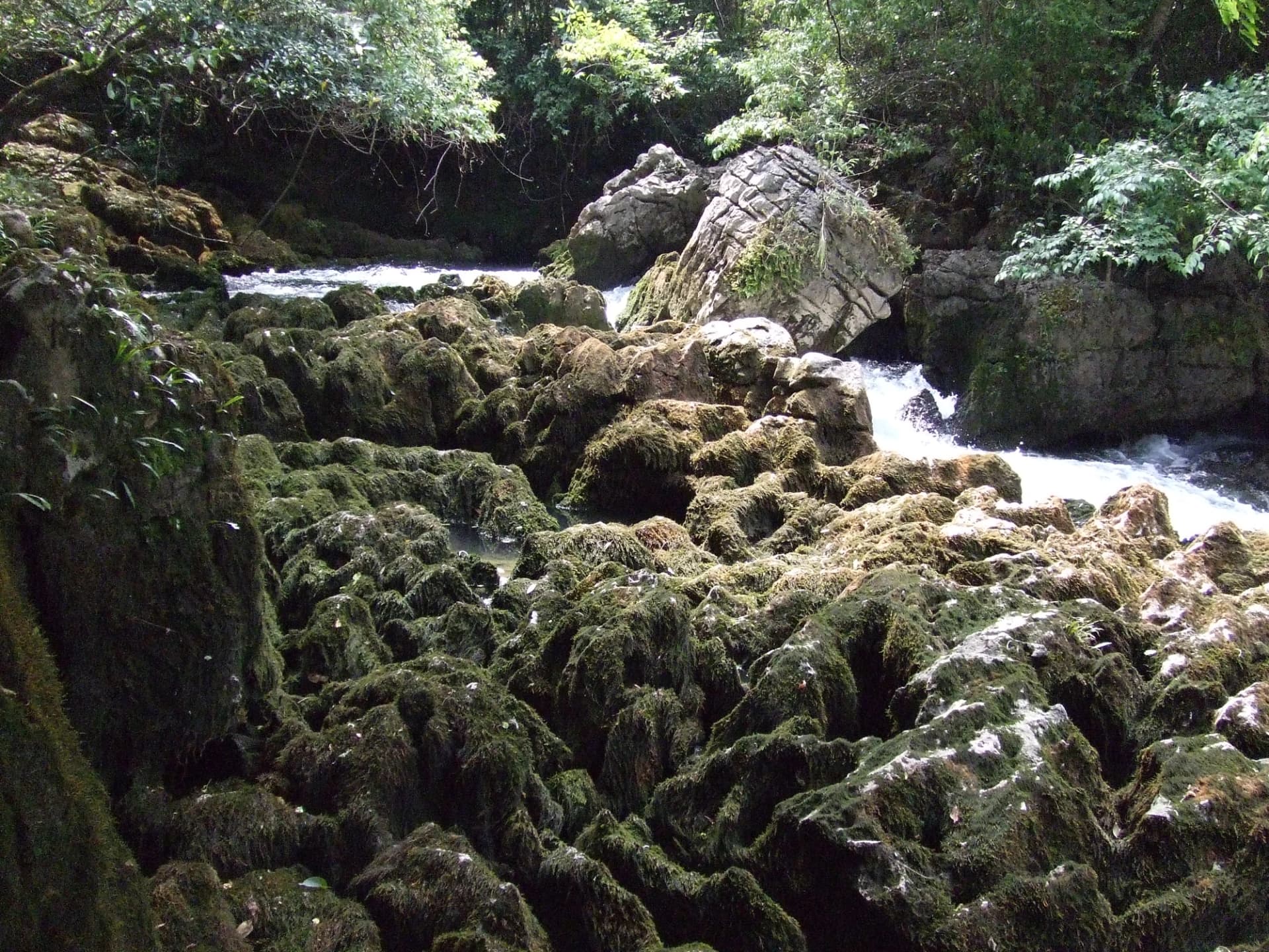 Rocas cubiertas de musgo y agua corriente en el bosque de Maolan
