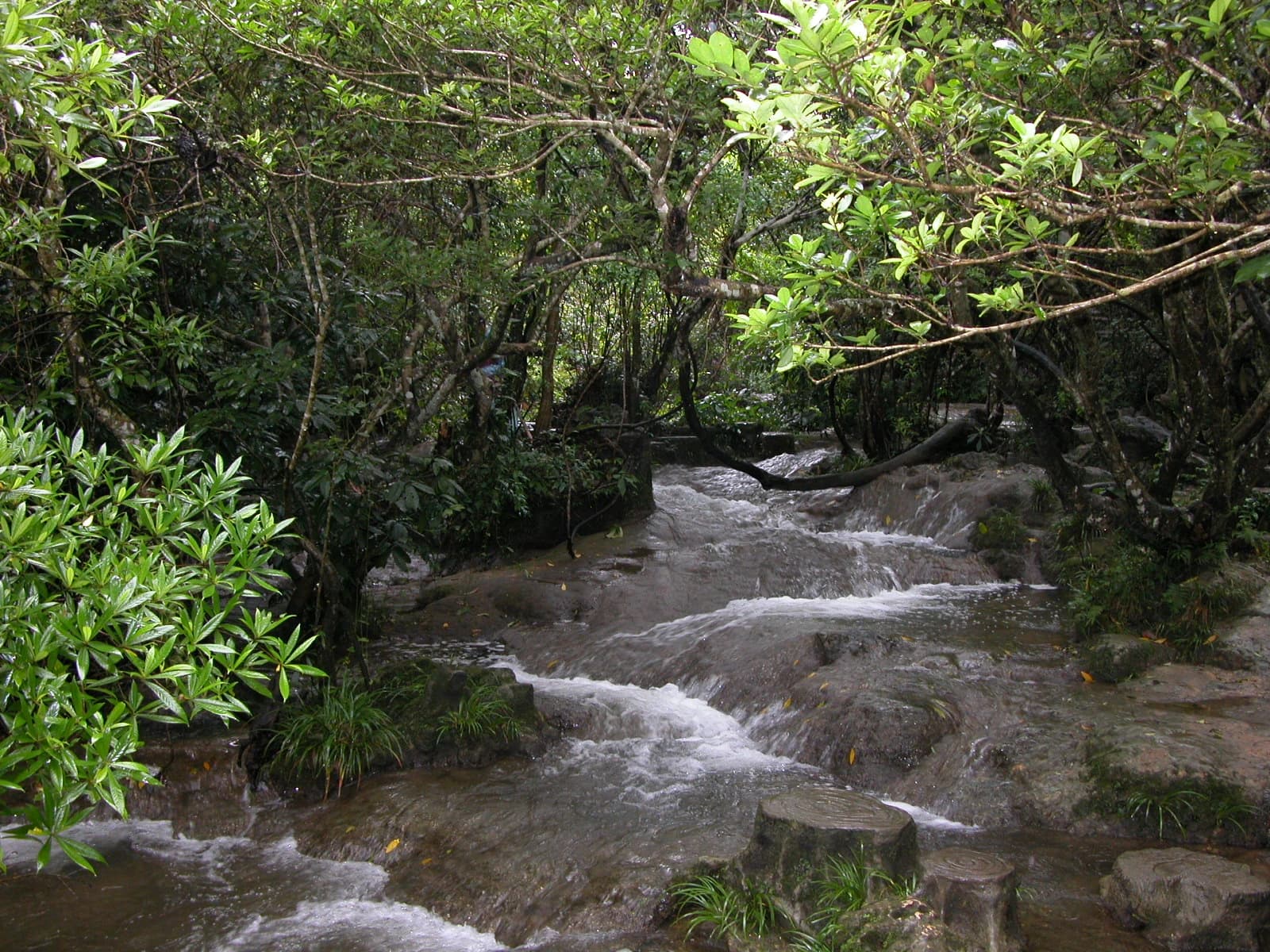 Un arroyo poco profundo cruza la senda rocosa del Water Forest de Xiaoqikong