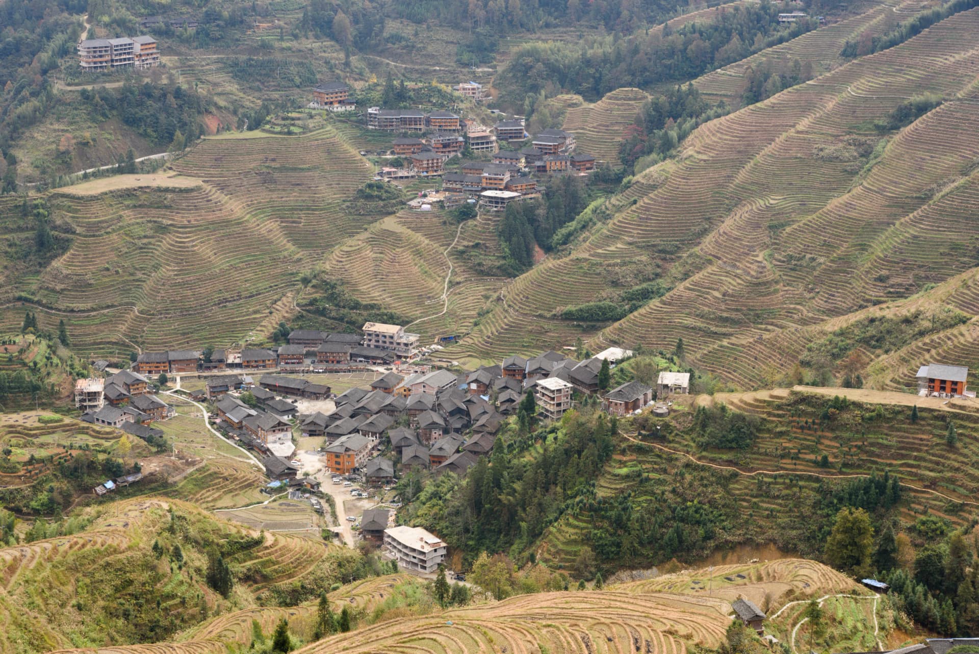 Yao village houses among cultivated mountain terraces in Longsheng