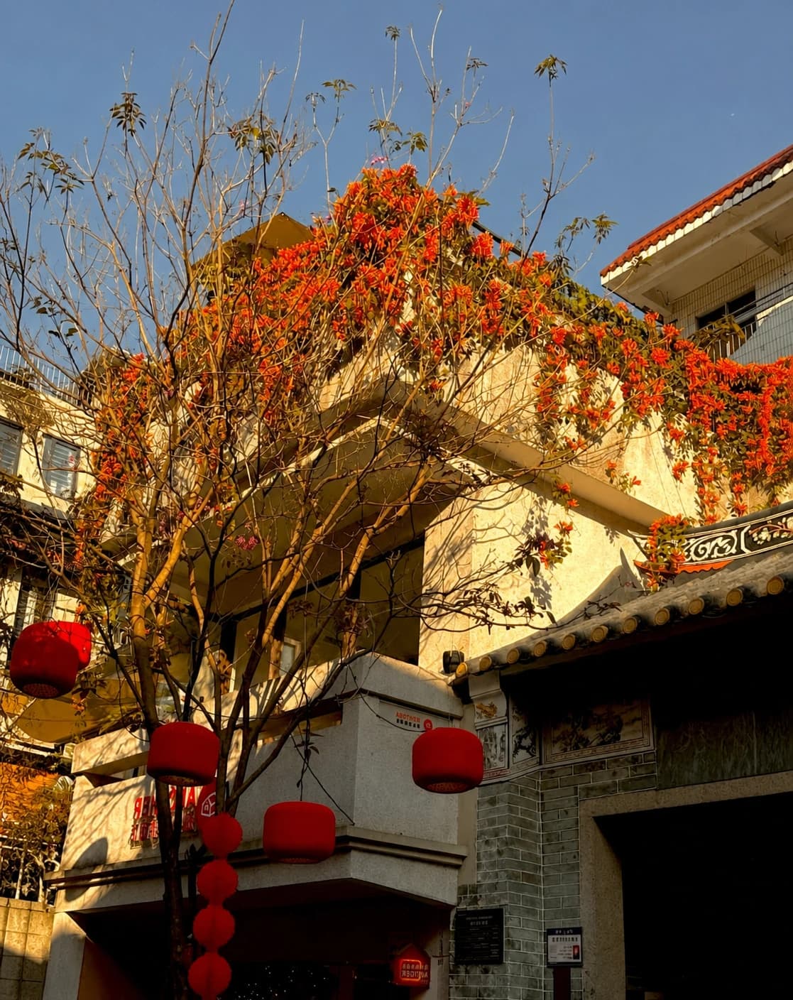 Calle histórica y tejido urbano renovado en la Ciudad Antigua de Nantou