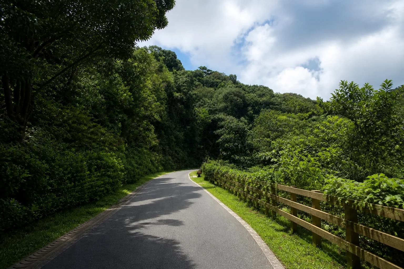 Little Yangtai Mountain: tres rutas desde el metro de Shenzhen