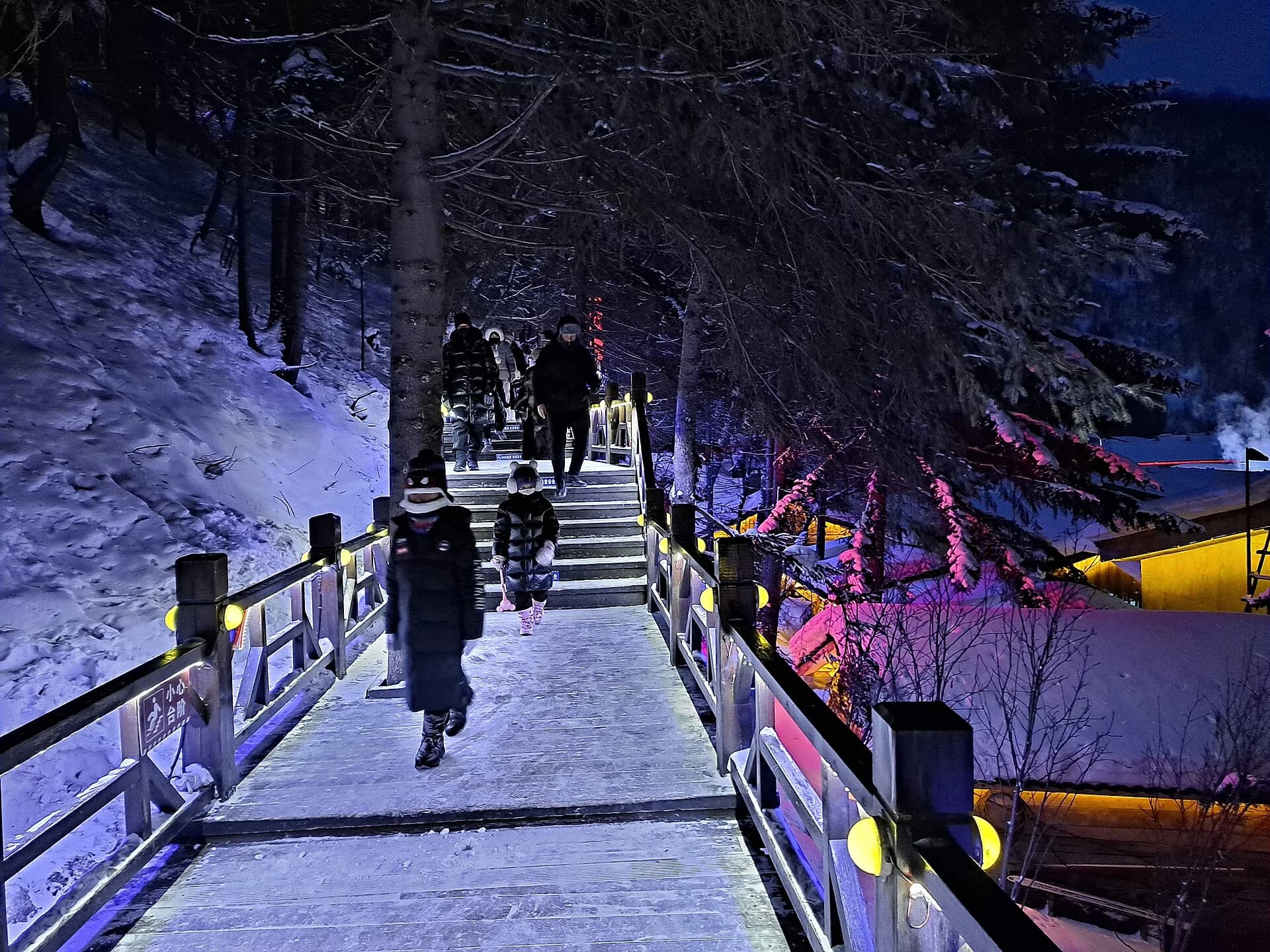 Viewing Boardwalk