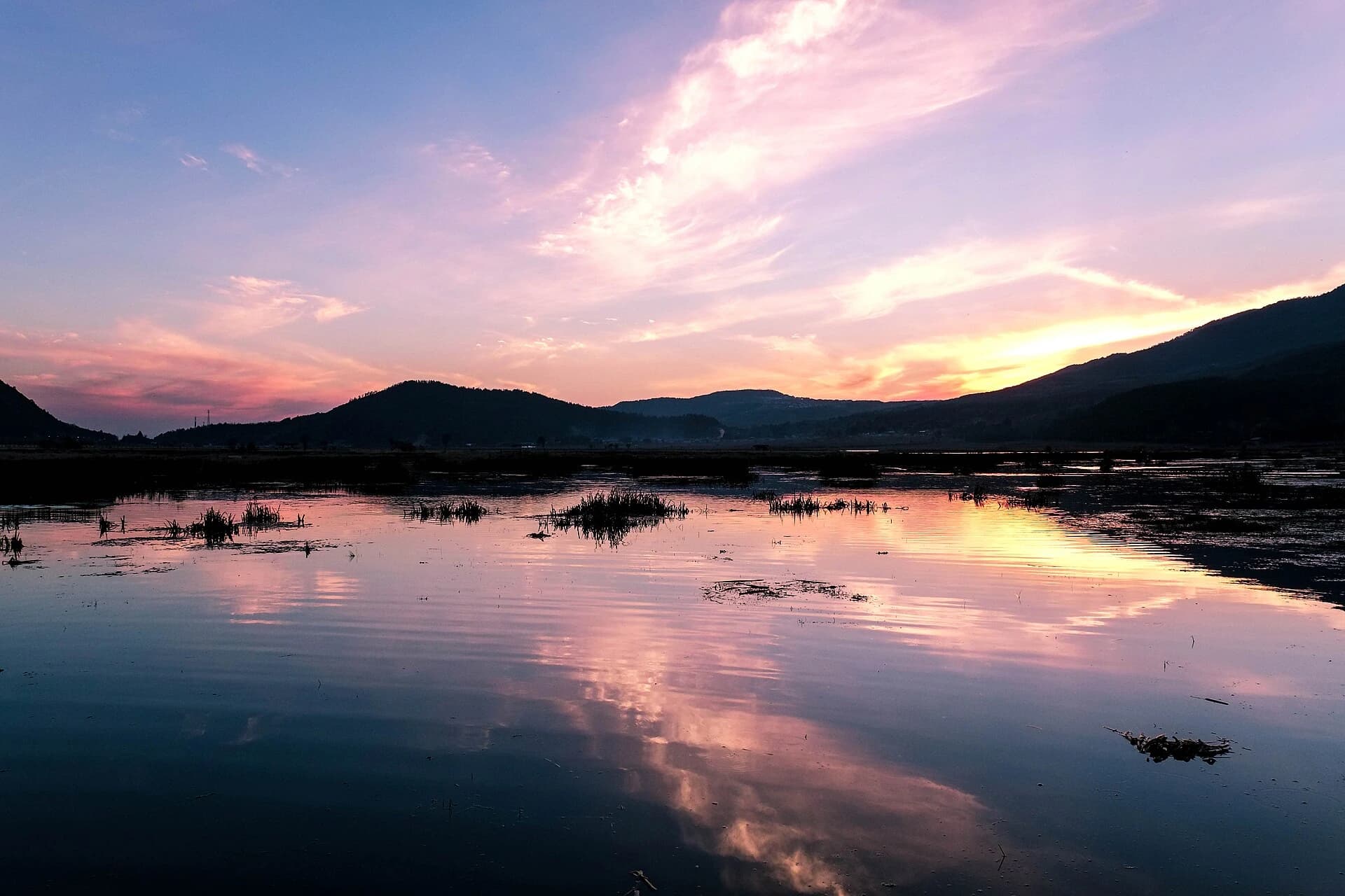 Beihai Wetland