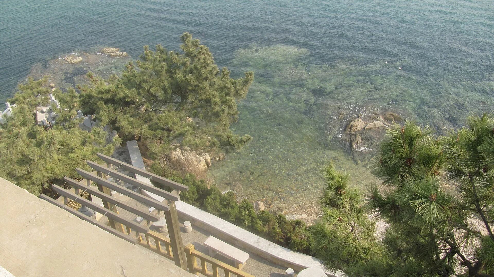 Pine-framed shoreline and clear water on Weihai's northeast coast