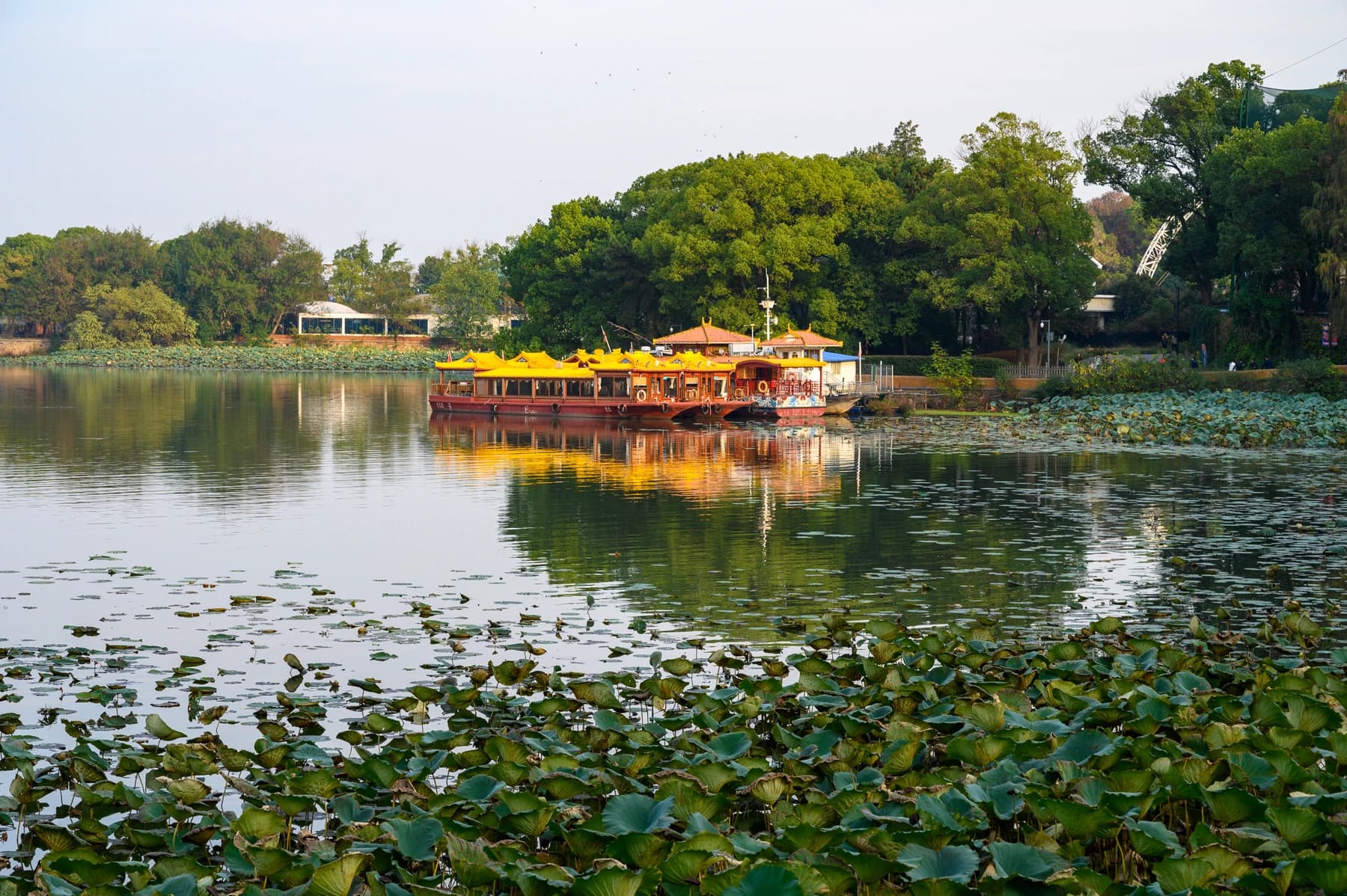 Calzada ajardinada y vegetación junto al Lago del Este de Wuhan