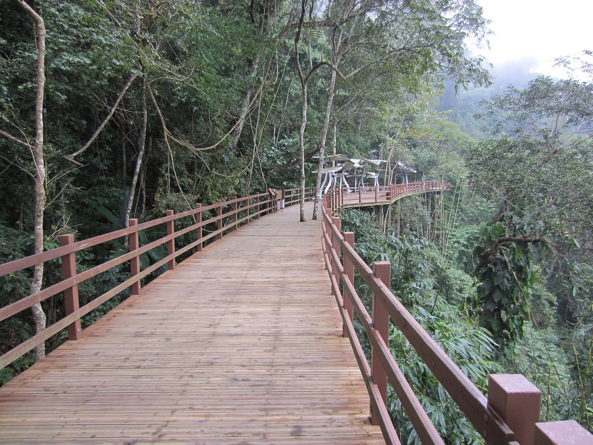 Wild Elephant Valley
