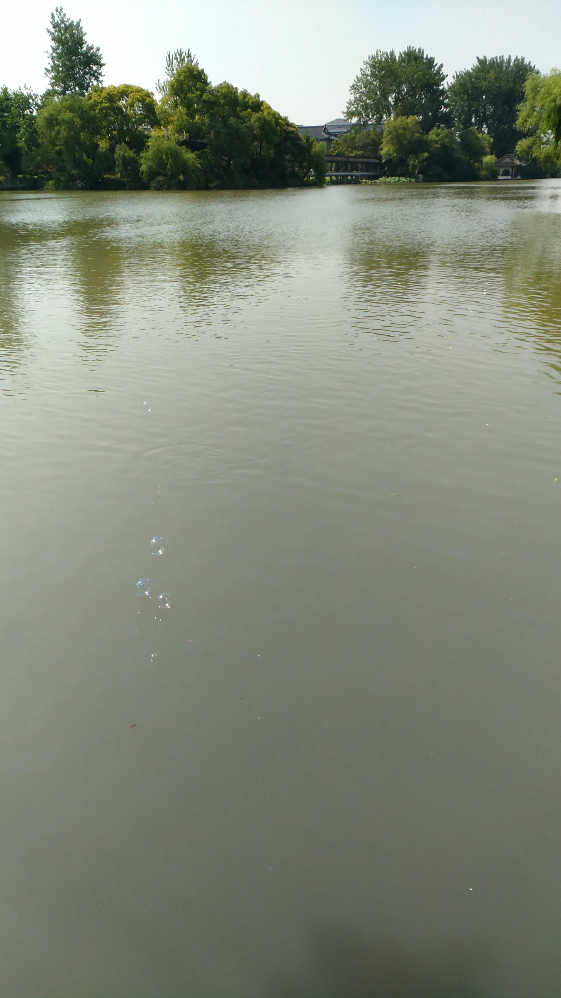 Árboles de jardín y vista al agua en Slender West Lake