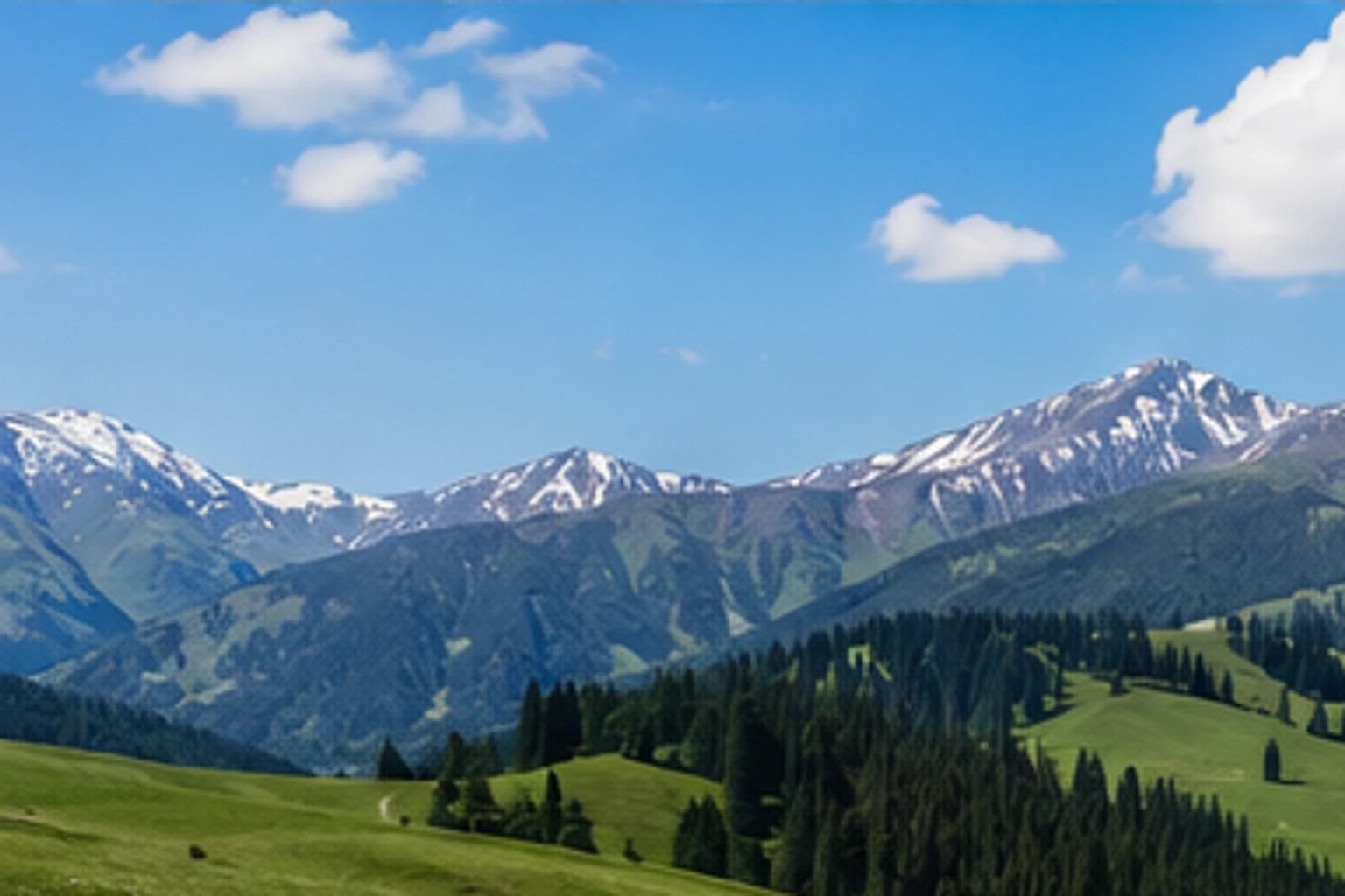 Ili Grassland Route Chooser